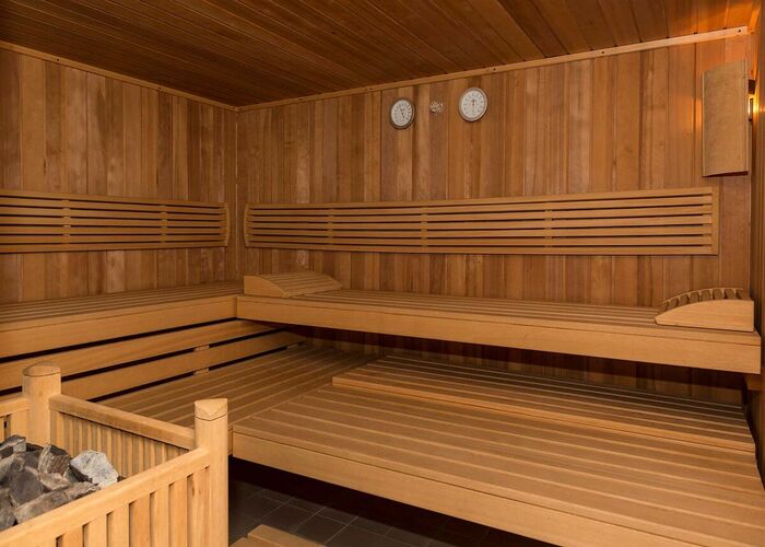 Sauna dans une residence de tourisme en LMNP au domaine des rois à BERGHEIM