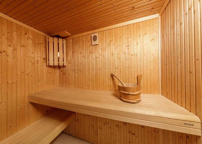 Sauna résidence lmnp tourisme Chaumont-sur-Tharonne Center Parc Les hauts de bruyères